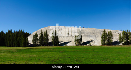 Tioga passano dal bacino di Mono a Yosemite, Route 120 - Tuolumne Meadows, buche e cupola. Foto Stock