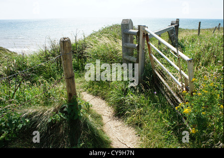 Stile tra campi nell'Isola di Wight Foto Stock