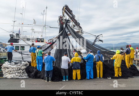 Equipaggio con reti da pesca nel porto di Santoña, Cantabria, SPAGNA Foto Stock