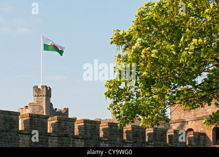 Il Galles, Castello di Cardiff, Gallese bandiera sul Norman tenere Foto Stock