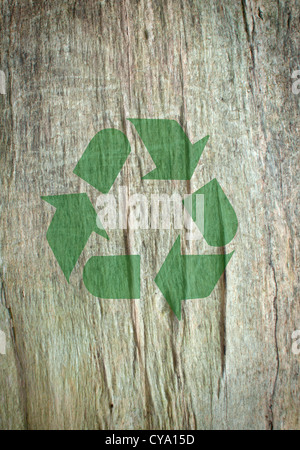 Simbolo di riciclaggio stampato su un albero Foto Stock