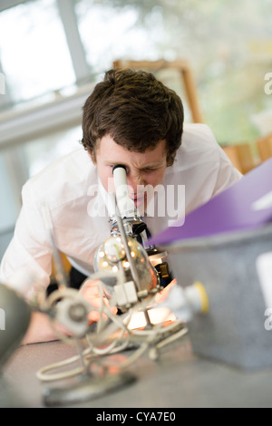 6 forma un livello gli studenti in una classe di scienze utilizzando microscopi secondario scuola globale , Wales UK Foto Stock