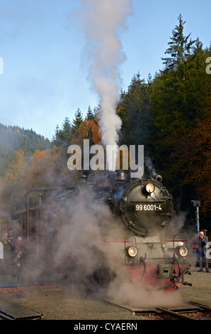 Harzer Schmalspurbahnen vapore patrimonio loco 2-6-2T serbatoio del motore 99 6001-4 a Eisfelder Talmühle stazione. Foto Stock