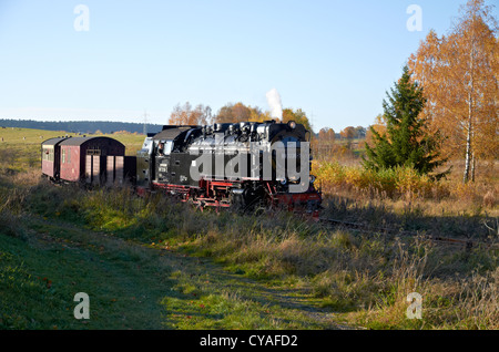 Harzer Schmalspurbahnen servizio treno a vapore che arrivano a Stiege, Selketalbahn (Selke Valley Railway Station) Foto Stock