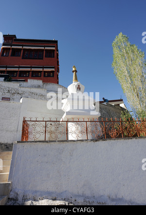 Chorten e Poplar Tree. a Thikse Gompa, Monastero, Tikse, Tiksey, Thiksey, Thiksay. Thiksey, Ladakh, la Repubblica dell' India. Foto Stock