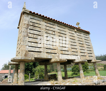 Un horreo, un tradizionale a nord-ovest della Spagna grain store in stile galiziano, questo granaio è realizzata in pietra ed è sollevata Foto Stock