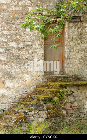 Moss-coperta di gradini di pietra che conduce ad un'antica porta di legno in una parete di pietra. Herrerias, Leon, Galizia, Spagna Foto Stock