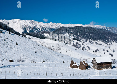 Paesaggio invernale con Piatra Craiului mountains Foto Stock