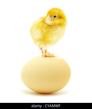 Brown uova e pollo isolati su sfondo bianco Foto Stock