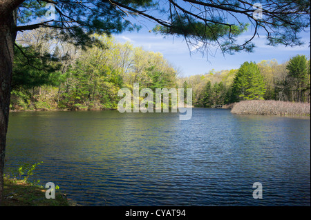 Lago SANFORDTOWN RD REDDING CONNECTICUT 06896 Foto Stock