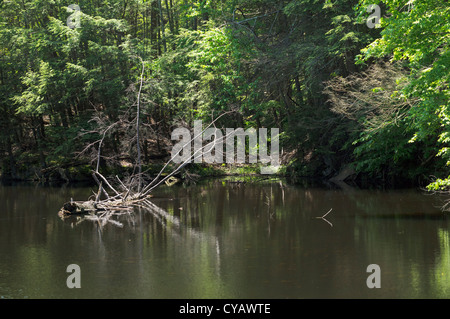 Lago SANFORDTOWN RD REDDING CONNECTICUT Foto Stock