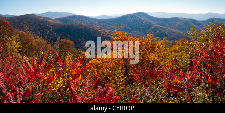 Autunno in Blue Ridge Mountains (panoramico immagine composita) - nei pressi di Asheville, North Carolina, STATI UNITI D'AMERICA Foto Stock