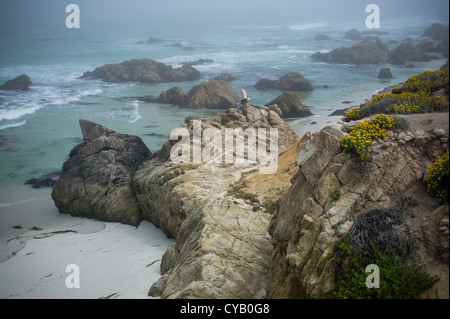 Oceano Pacifico visto da 17-Mile Drive Pebble Beach in California Foto Stock