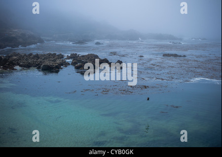 Oceano Pacifico visto da 17-Mile Drive Pebble Beach in California Foto Stock