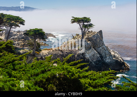 Oceano Pacifico visto da 17-Mile Drive Pebble Beach in California Foto Stock