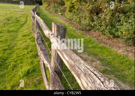 Legno stagionato split cancellata oltre il sentiero con filo spinato in tra i binari posti a mantenere in bestiame bovino per campo Foto Stock