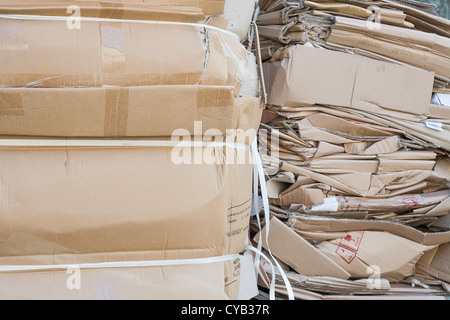 Cartone rifiuti il riciclaggio della carta ambiente riciclare Foto Stock