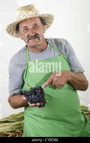 Agricoltore biologico azienda appena raccolto di uve rosse in mano Foto Stock