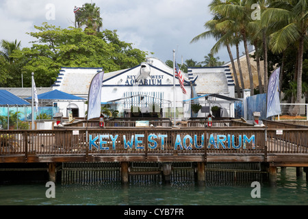 Key West Florida Aquarium usa Foto Stock