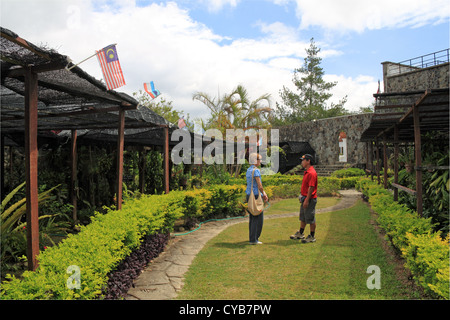 Borneo giardino, Kundasang War Memorial, Ranau, Sabah Borneo, Malaysia, sud-est asiatico Foto Stock