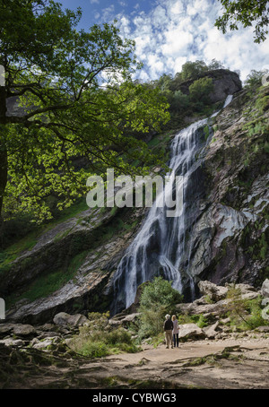 Cascata, al Powerscourt, County Wicklow, Repubblica di Irlanda Foto Stock