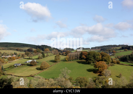Il paesaggio agricolo nei pressi di Knighton, Powys, Wales, Regno Unito. Foto Stock