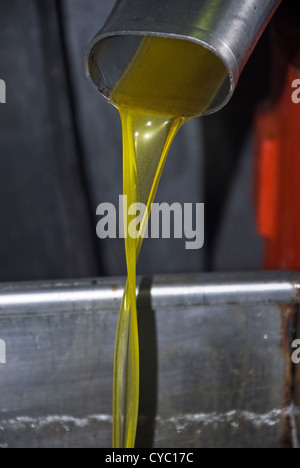 Olio di oliva fresco lasciando la pressa Foto Stock