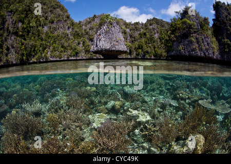 Una variegata Coral reef cresce vicino a una serie di isole calcaree nell Indonesia orientale. Le isole sono erosi in corrispondenza della linea di galleggiamento. Foto Stock