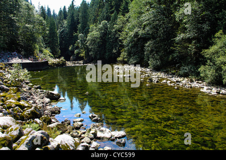 Il Capilano River, Vancouver Foto Stock