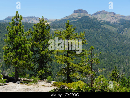 Sonora Pass, Sierra Nevada, in California - a Donnell Vista area ricreativa. Visualizzare ai Dardanelli insoliti picchi di roccia. Foto Stock