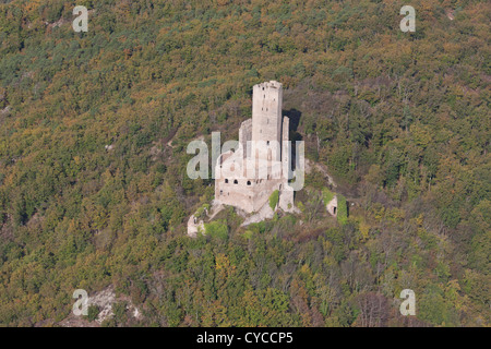 VISTA AEREA. Castello medievale di Ortenbourg sulle montagne orientali dei Vosgi. Scherwiller, Bas-Rhin, Alsazia, Grand Est, Francia. Foto Stock