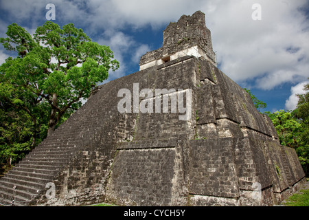 Le magnifiche rovine maya di Tikal nella giungla del Guatemala, l'America centrale. Foto Stock