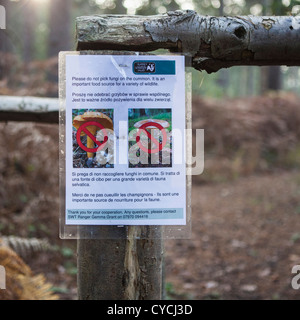 Un avviso Avviso ai visitatori di non scegliere i funghi su Ockham comune, Surrey Foto Stock