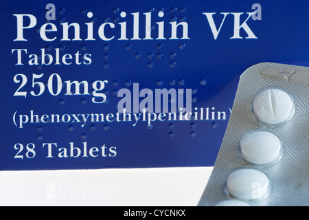 Il Braille su una scatola con blister di 250mg forza di penicillina VK orale compresse antibiotico per infezioni batteriche Foto Stock