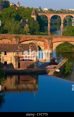 Albi, sul fiume Tarn, Ponte Vecchio, Tarn, Midi-Pirenei, Francia, Europa Foto Stock