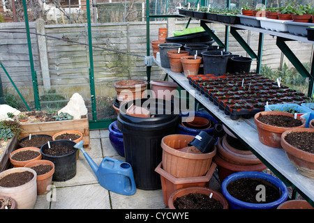 Domestico interno serra in primavera. Regno Unito. Foto Stock