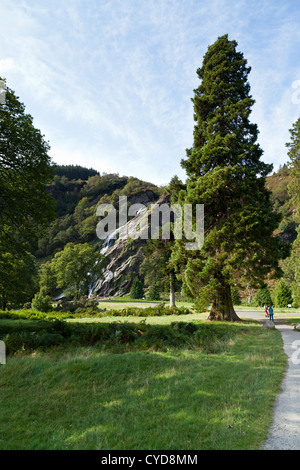 Al Powerscourt cascata nella contea di Wicklow, Irlanda Foto Stock