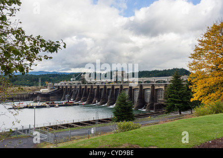 La Bonneville Dam sul fiume Columbia, Columbia River Gorge, Multnomah County, Oregon, Stati Uniti d'America Foto Stock