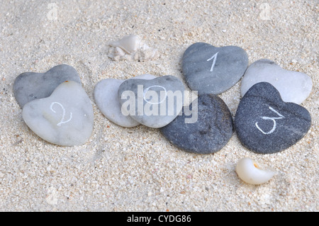 Quattro cuori di pietra con 2013 Scritta sulla sabbia Foto Stock