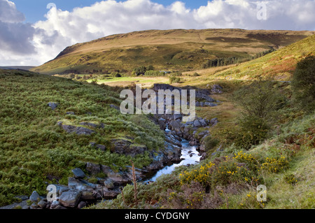 Vista panoramica sul modo di Claerwen a Elan valley, mid Wales, Regno Unito Foto Stock