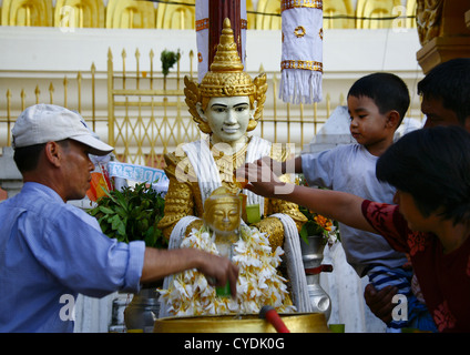 Persone mettere acqua su una statua in Shwedagon pagoda, Rangoon, Myanmar Foto Stock