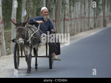 Il vecchio uomo uigura alla guida del suo asino, Hotan, Xinjiang Uyghur Regione autonoma, Cina Foto Stock