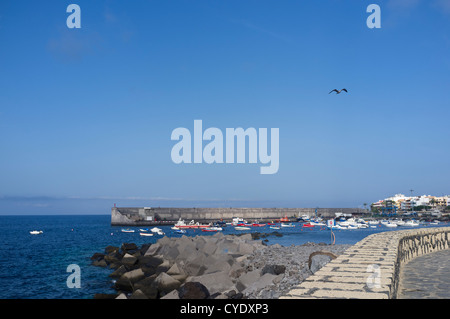 Porto e frangiflutti a Playa San Juan, Tenerife, Isole Canarie, Spagna Foto Stock