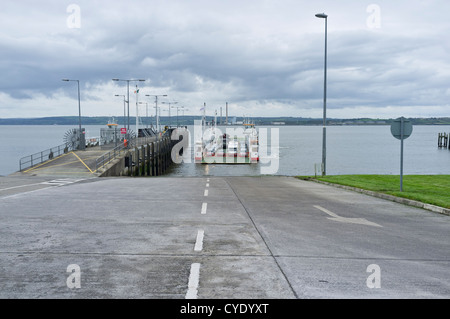 In attesa del traghetto per attraversare l'estuario del fiume Shannon a Tarbert da Killimer, County Clare, Irlanda Foto Stock