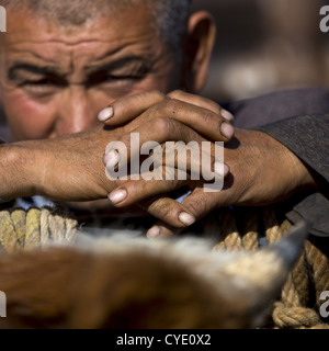 Uyghur uomo a Kashgar mercato animale, Xinjiang Uyghur Regione autonoma, Cina Foto Stock