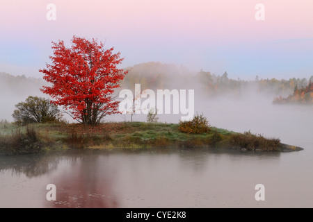 Nebbia di mattina e autunno rosso acero su San Pothier Lago Maggiore Sudbury, Ontario, Canada Foto Stock