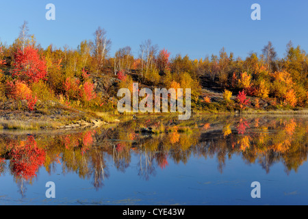 Colori d'autunno riflessioni in una beaver pond, maggiore Sudbury, Ontario, Canada Foto Stock