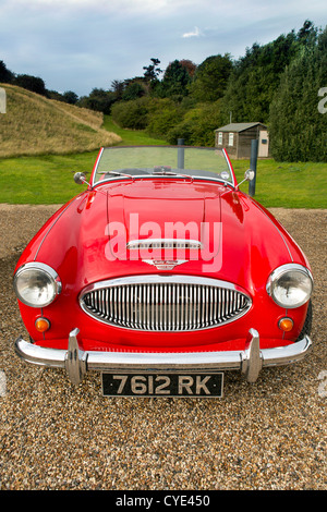 Austin Healey auto classica. Foto Stock