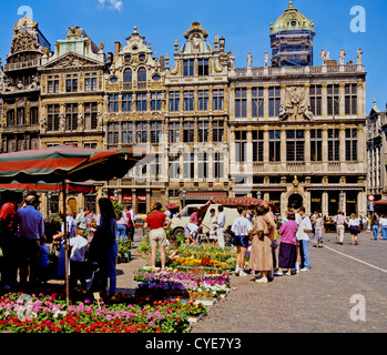 8338. Il mercato dei fiori nella Grand Place di Bruxelles, Belgio, Europa Foto Stock