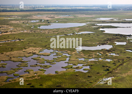 I Paesi Bassi, Lelystad, parco nazionale chiamato Oostvaarders Plassen. Le zone umide. Antenna. Foto Stock